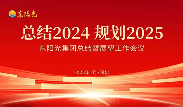 杏彩体育集团董事会2025年第一次会议暨“总结2024 规划2025”工作会议在广东深圳成功召开