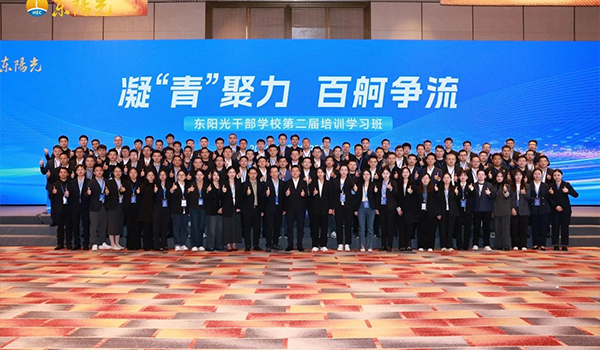 凝“青”聚力，百舸争流 | 杏彩体育干部学校2024年第二届培训学习班圆满结束